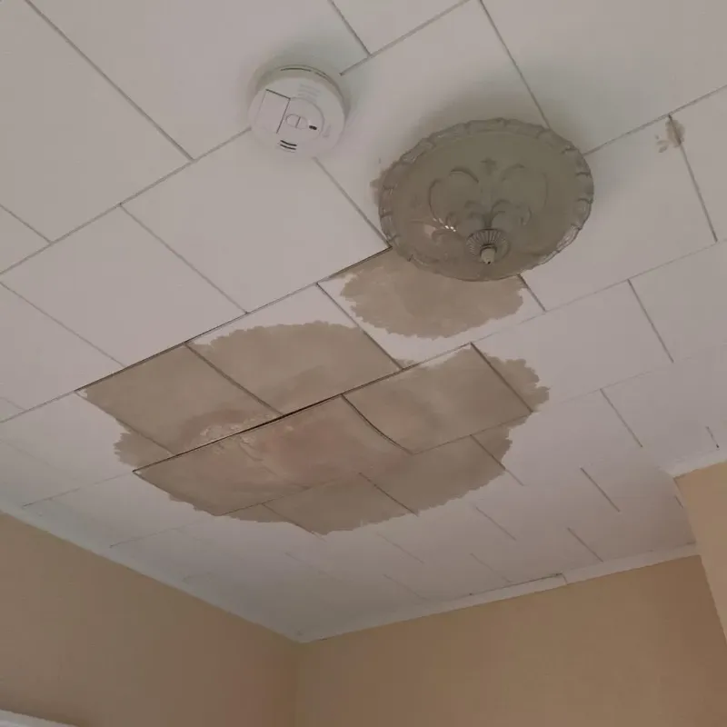 Ceiling Water Damage Repair in Huntingdon, TN