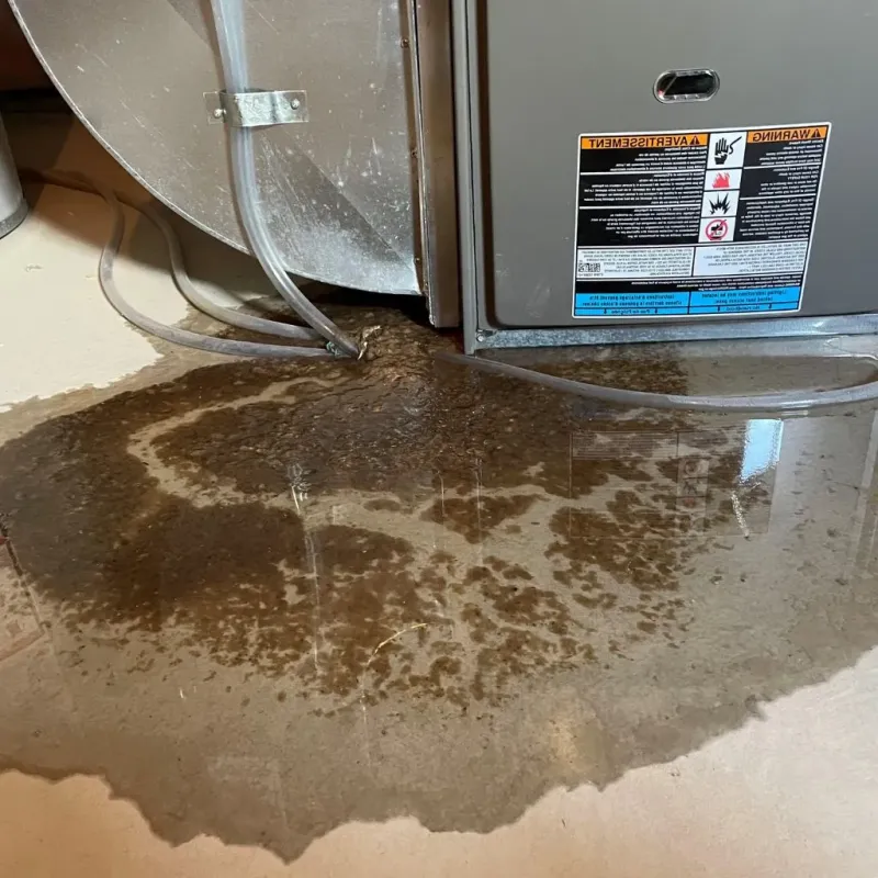 Pipe Burst and Leak Restoration in Huntingdon, TN