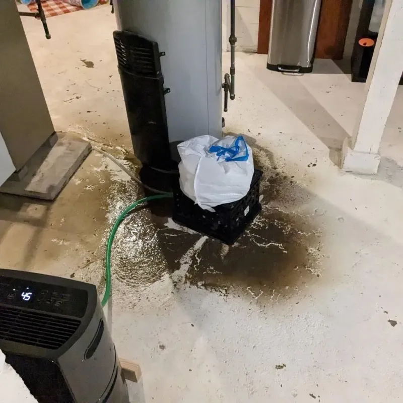 Sewage Backup Cleanup Service in Huntingdon, TN